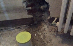photo006