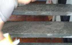 photo010