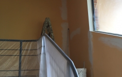 photo017