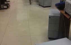 photo021